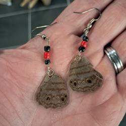 Paire de boucles d'oreilles de vraies ailes de papillon #8