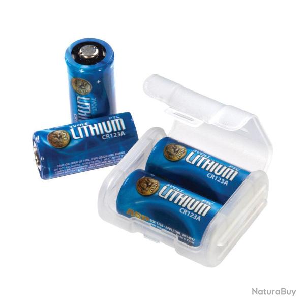 500 Piles Lithium Aaa (Bulk)