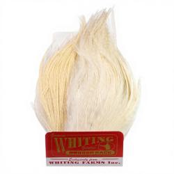 Whiting Bugger Pack Blanc