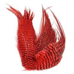 Whiting Bugger Pack Grizzly teint rouge