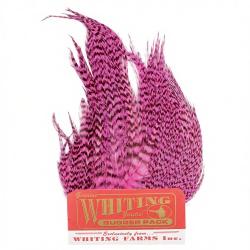 Whiting Bugger Pack Grizzly teint rose