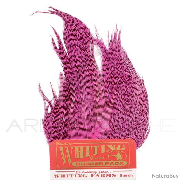 Whiting Bugger Pack Grizzly teint rose
