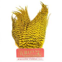 Whiting Bugger Pack Grizzly teint jaune