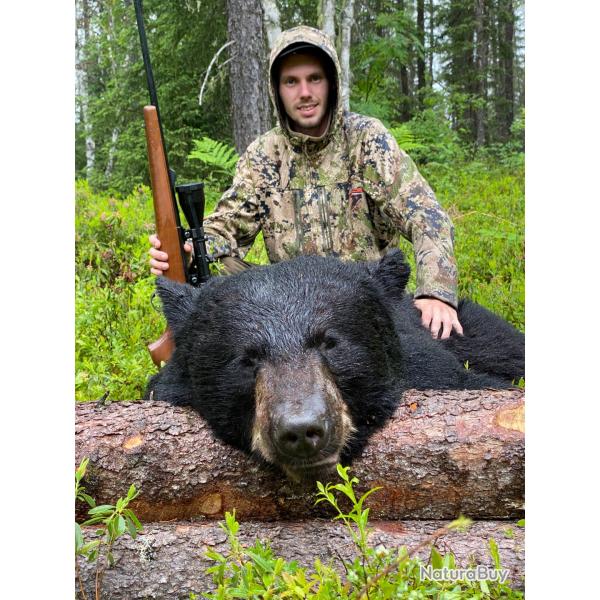 SEJOUR DE CHASSE A L'OURS NOIR - QUEBEC, CANADA