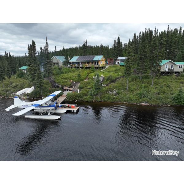 Voyage de p�che � l'omble de fontaine (truite mouchet�e) indig�ne NORD DU QUEBEC