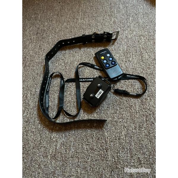 Collier de dressage CANICOM 200 FIRST