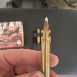 Balles 7x64 norma accubond