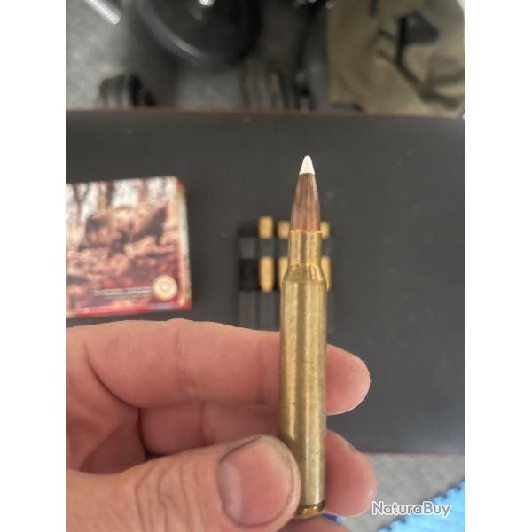 Balles 7x64 norma accubond