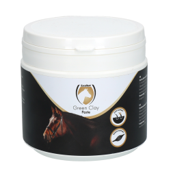 Excellent Horse Green Clay Paste - Ref GROE00981 - EAN 8716759612495 - Livraison rapide
