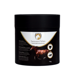 Excellent Horse Seaweed Pellets - Ref EQUI00030E - EAN 8716759601796 - Livraison rapide