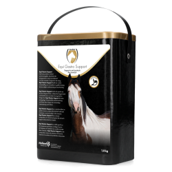 Excellent Horse Gastro Support - Ref VIKT0001FEE - EAN 8716759601949 - Livraison rapide