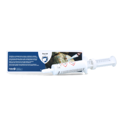Excellent Easy Gel - Ref EASY00106 - EAN 8716759567610 - Livraison rapide