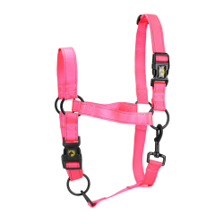 Excellent Premium Halter - Ref HALS1101E - EAN 8716759593718 - Livraison rapide