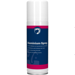 Excellent Aluminium Spray - Ref HEVA0001 - EAN 8716759513730 - Livraison rapide