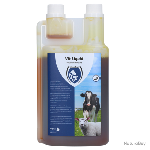 Excellent Vit Liquid Multivitamin - Ref VITL01000 - EAN 8716759453722 - Livraison rapide