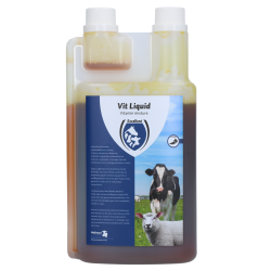 Excellent Vit Liquid Multivitamin - Ref VOED01000 - EAN 8716759453722 - Livraison rapide