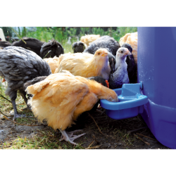 Drinker Poultry for self-assembly - Ref DRIN220 - EAN 4014803346964 - Unbranded