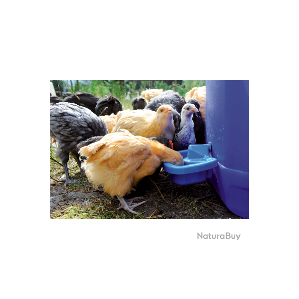 Drinker Poultry for self-assembly - Ref DRIN220 - EAN 4014803346964 - Unbranded