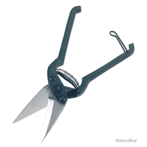 Claw scissors sheep - Ref KLAU0003 - EAN 4018653163917 - Unbranded