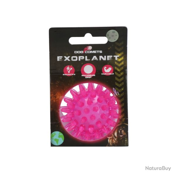 Dog Comets Exoplanet Balle H�risson - Ref COME016B - EAN 8716759637405 - Livraison rapide