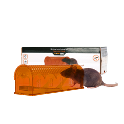 Knock Pest Rat trap Alive - Ref KNOC00144 - EAN 8716759589841 - Livraison rapide