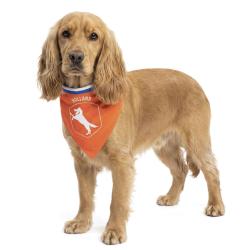 Oranje Bandana Hup Holland - Ref ORAN0017M - EAN 8716759660953 - Hofman Animal Care