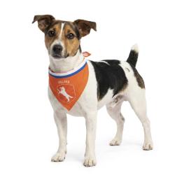 Oranje Bandana Hup Holland - Ref ORAN0017S - EAN 8716759660946 - Hofman Animal Care