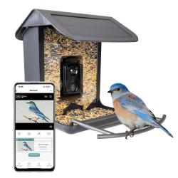 AI Bird Feeder avec Cam&eacute;ra - Ref SMART0020 - EAN 8716759654259 - Hofman Animal Care