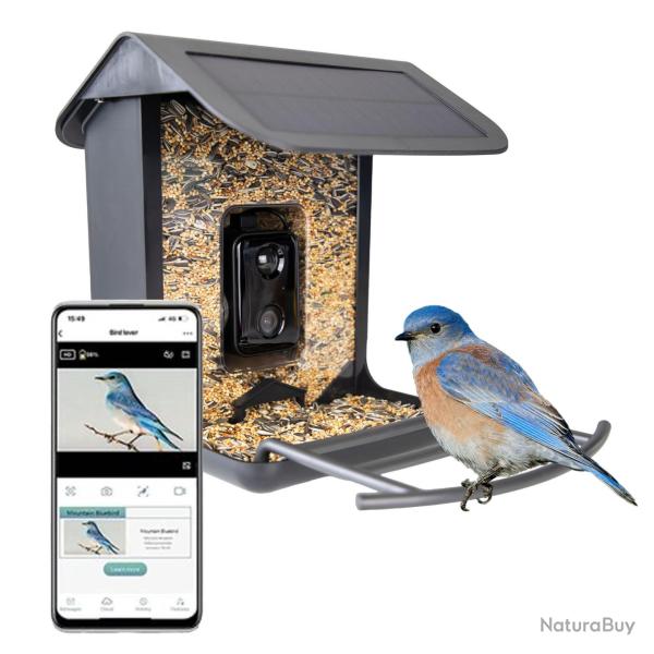 AI Bird Feeder avec Cam�ra - Ref SMART0020 - EAN 8716759654259 - Hofman Animal Care
