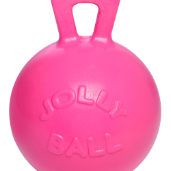 Jolly Ball - Ref JOLL008AB - EAN 0788169041088 - Jolly Pets