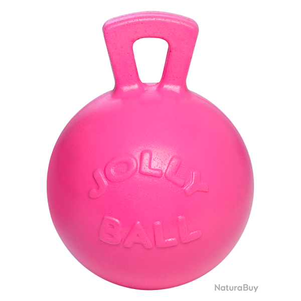 Jolly Ball - Ref JOLL008AB - EAN 0788169041088 - Jolly Pets