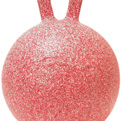 Jolly Ball - Ref JOLL008AM - EAN 0788169014105 - Jolly Pets