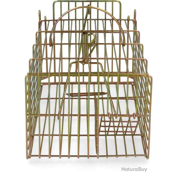 Trap for live catch rat multi catch - Ref VAL0010 - EAN 8435039997335 - Hofman Pest Control