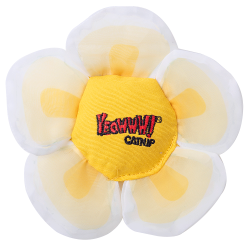 Yeowww! Daisy's Flower Tops - Ref YEOW060C - EAN 0812402001239 - Livraison rapide