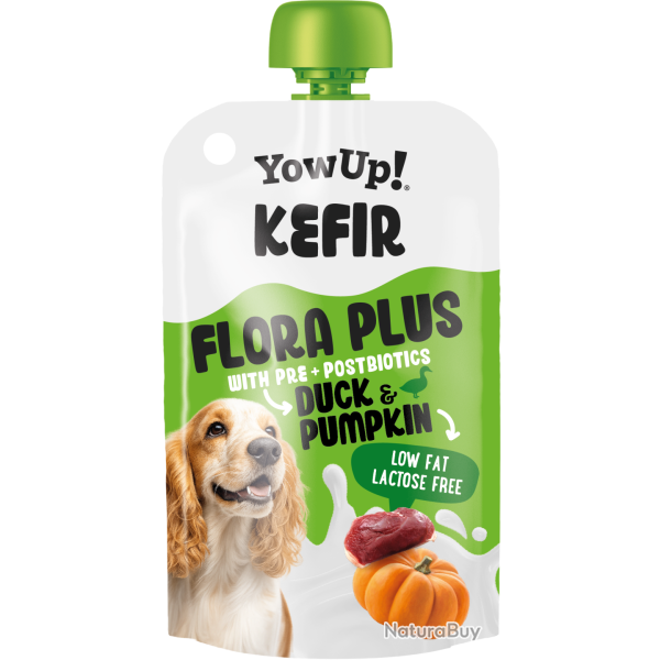 Yowup! Kefir - Ref YOWUP130 - EAN 8437023761625 - Livraison rapide