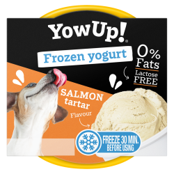 YowUp! Frozen Yoghurt - Ref YOWUP351 - EAN 8437023761458 - Livraison rapide