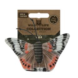 Wild Life Cat - Ref WILD032 - EAN 8716759550513 - Wild Life Collection