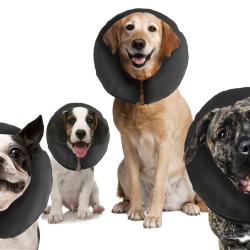 Zenpet ProCollar - Ref ZENP5914 - EAN 0683615359147 - Livraison rapide