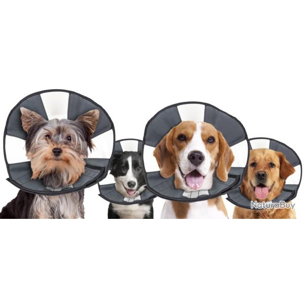 Zenpet Procone - Ref ZENP5922 - EAN 0683615359222 - Livraison rapide