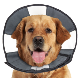 Zenpet Procone - Ref ZENP5924 - EAN 0683615359246 - Livraison rapide