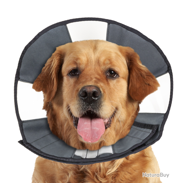 Zenpet Procone - Ref ZENP5924 - EAN 0683615359246 - Livraison rapide