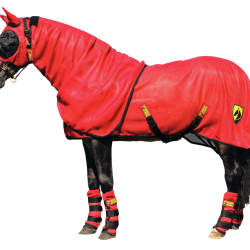 Horse Armor Knockdown Fly Blanket - Ref KNOC00191 - EAN 8716759571242 - Livraison rapide