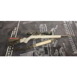 Ruger 10/22 collector's series