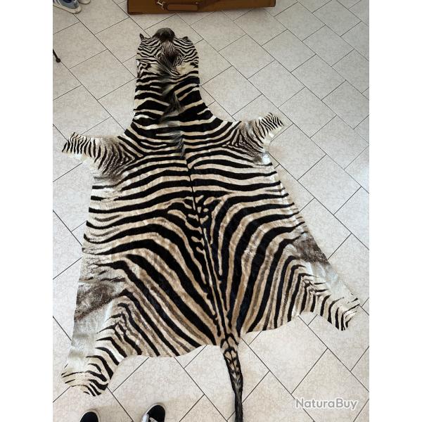 PEAU DE Z�BRE DE PLAINE