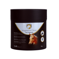 Excellent Horse Magnesium Citrate - Ref EPPL0001BL7E - EAN 8716759601550 - Livraison rapide