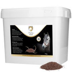 Excellent Horse Herbs Plantago Seed - Ref HERB026A6 - EAN 8716759657342 - Livraison rapide