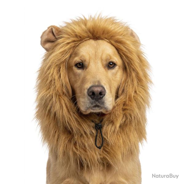 Oranje WK Manen Tooi - Ref ORAN0011L - EAN 8716759660878 - Hofman Animal Care