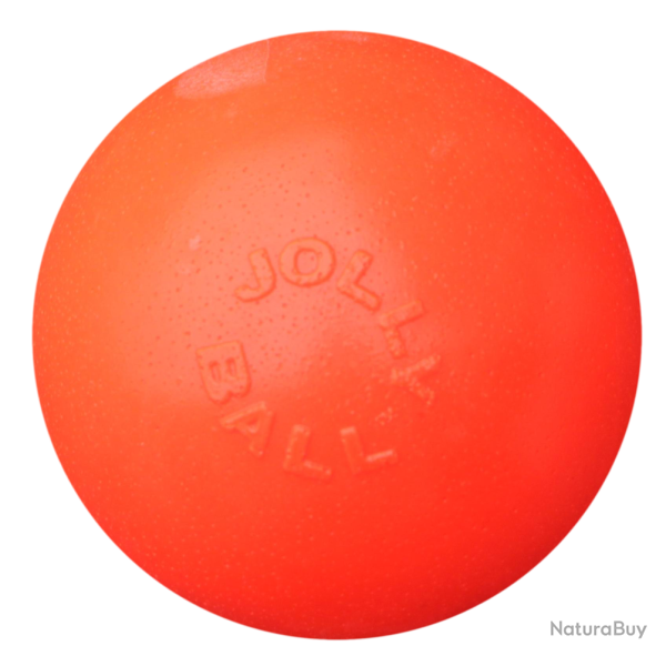 Jolly Bounce-n Play - Ref JOLL068G - EAN 0788169250664 - Jolly Pets