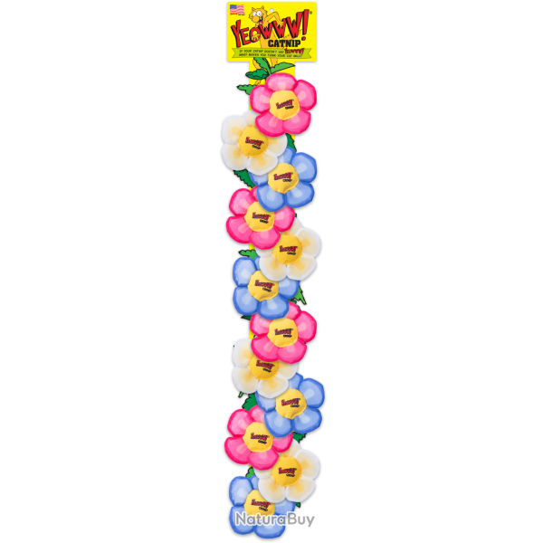 Yeowww! Display Strip Daisy's Flower Top - Ref YEOW066D - EAN 0812402001246 - Livraison rapide