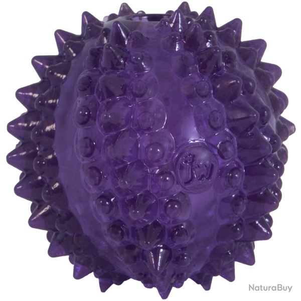 JW Puppy - Bristl-ee Cactus Ball - Ref JW60636 - EAN 0029695606366 - Livraison rapide